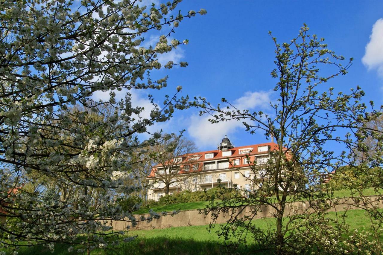 Ferienwohnung Natur Und Kunst Dresden Exterior photo