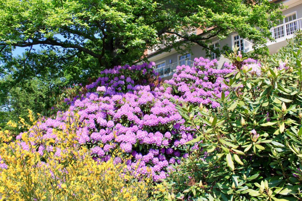 Ferienwohnung Natur Und Kunst Dresden Exterior photo
